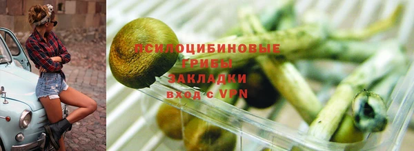 стафф Аркадак