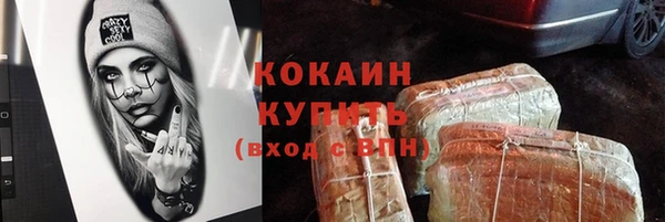 гашик Алексин