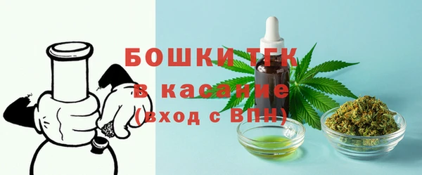 стафф Аркадак