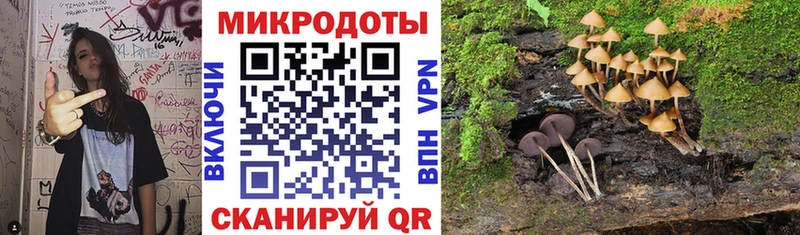 где можно купить   Новокубанск  Псилоцибиновые грибы ЛСД 